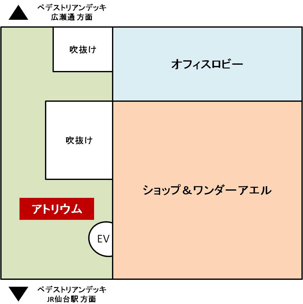 ポケモンセンタートウホク】ニンテンドー２ＤＳ『ポケットモンスター