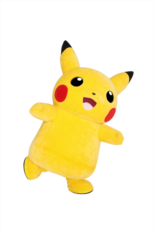 AIR_PIKACHU_normal_014_RGB.png