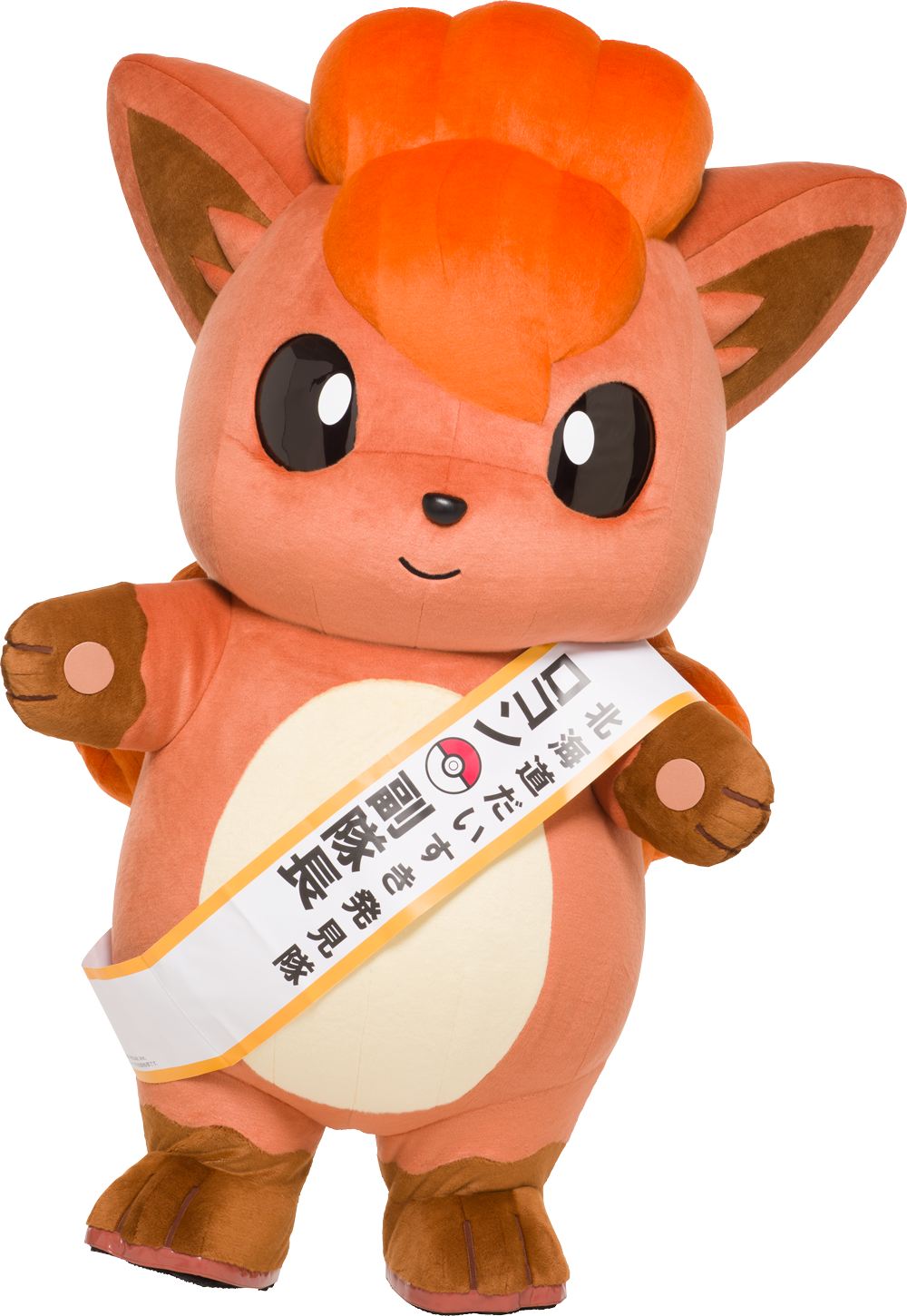 https://voice.pokemon.co.jp/stv/sapporo/AIR_ROKON_tasuki_002_RGB.png